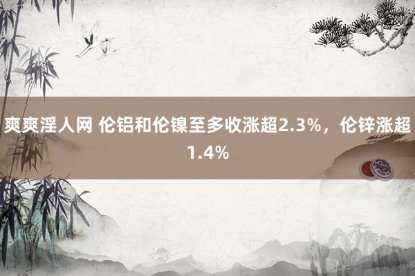 爽爽淫人网 伦铝和伦镍至多收涨超2.3%，伦锌涨超1.4%