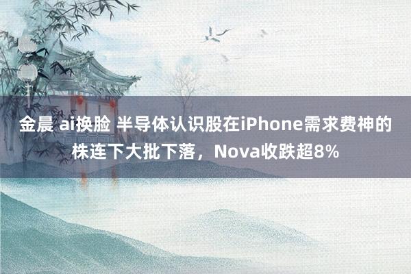 金晨 ai换脸 半导体认识股在iPhone需求费神的株连下大批下落，Nova收跌超8%