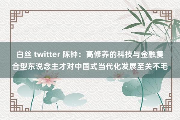 白丝 twitter 陈钟：高修养的科技与金融复合型东说念主才对中国式当代化发展至关不毛